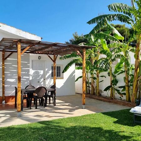 Apartamento Privado Con Jardin, Piscina Elevada Y Bbq Чиклана-де-ла-Фронтера Екстер'єр фото