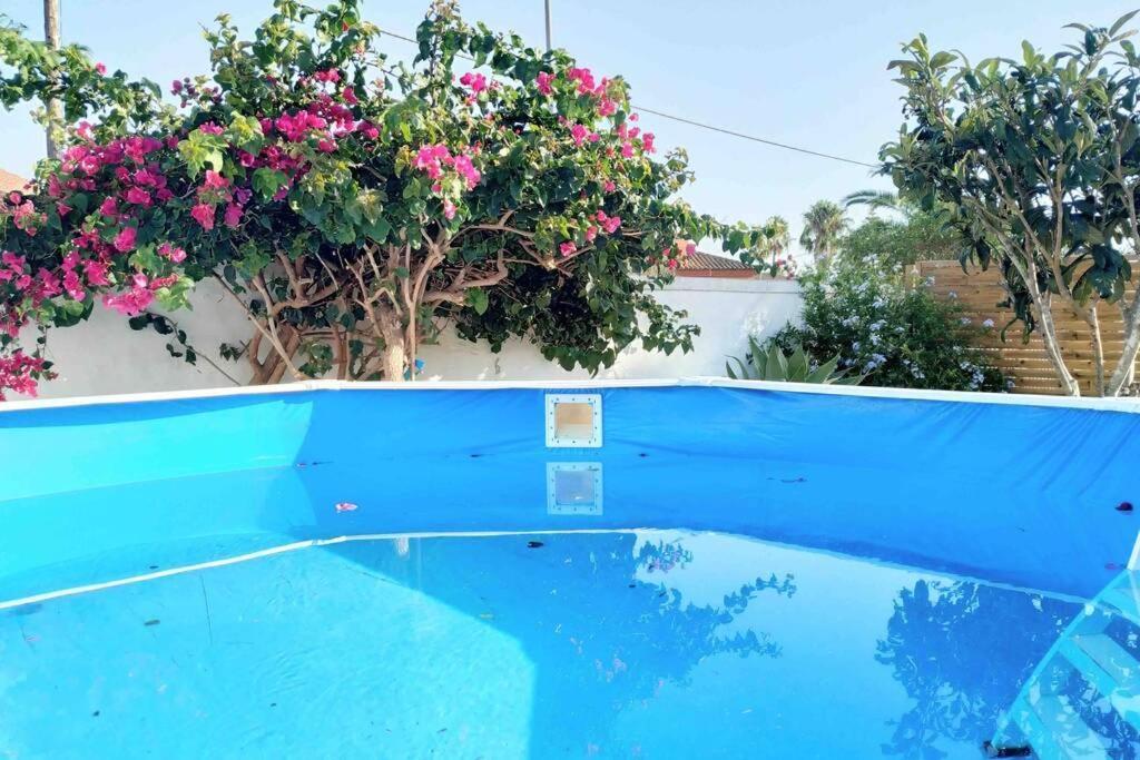 Apartamento Privado Con Jardin, Piscina Elevada Y Bbq Чиклана-де-ла-Фронтера Екстер'єр фото